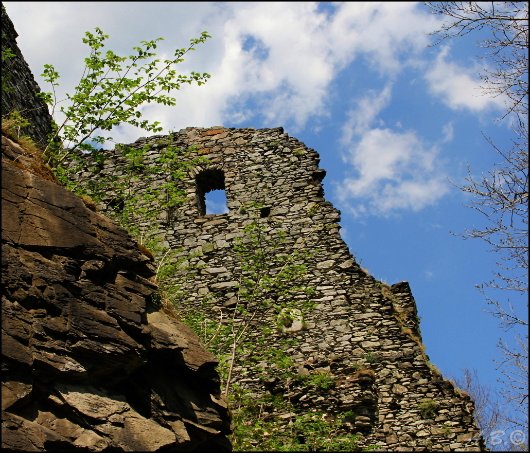 Příroda (8)